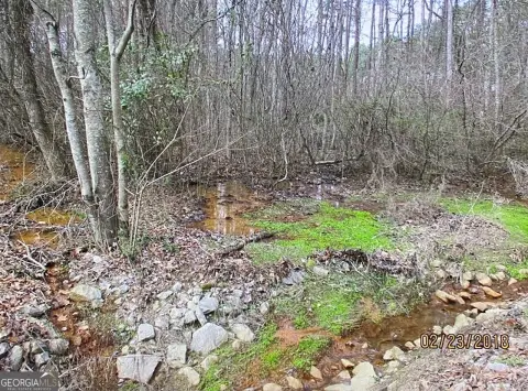 Land in Villa Rica, GA