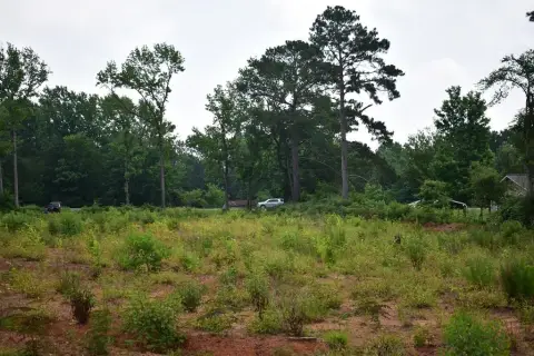 Nacogdoches Land Ready to Build