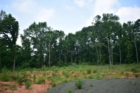 Cleared Lot Ready For Development