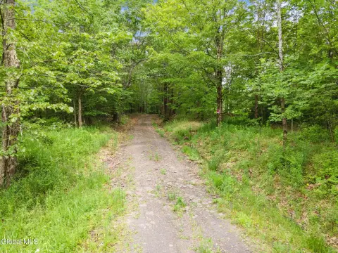Mountain Recreational Land