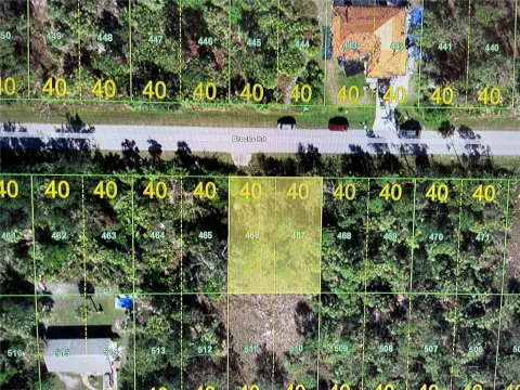 Residential Land in Punta Gorda