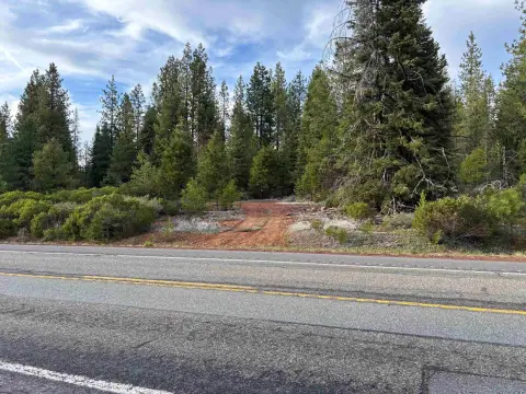Forested Acreage Near McCloud