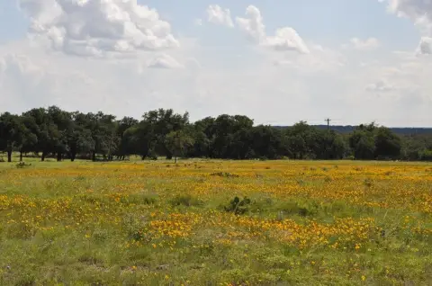 Harper, TX Ranch Land Available