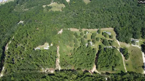 Wagener SC Wooded Acreage