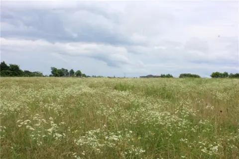 Cleared Land in Gravette, AR