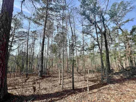 Unrestricted Land Near Buffalo Park