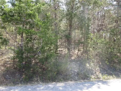 Holiday Island Wooded Lot