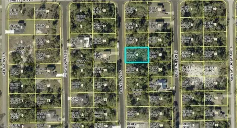 Residential Lot in Lehigh Acres