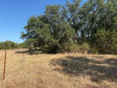 Treed Agricultural Land