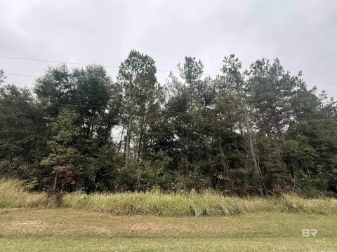 5.6 Acres Partially Cleared Land