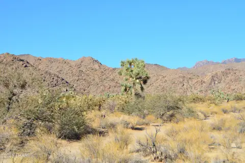 Land with Mountain Views