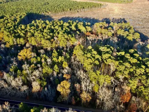 Land For Sale - Reedville