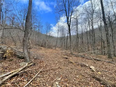 Secluded Land Bordering National Forest