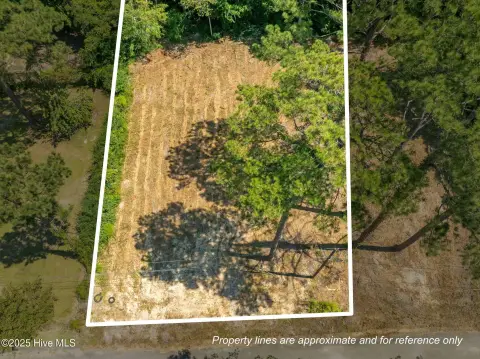 Cleared Lot in Growing Area