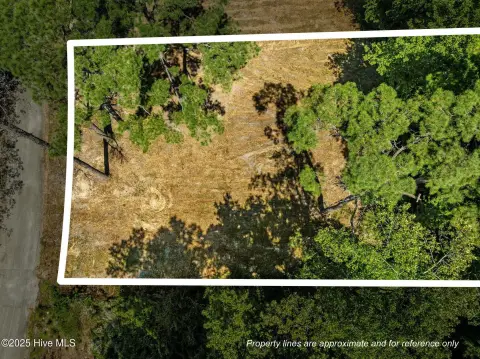 Cleared Lot in Growing Area