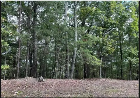 Residential Homesite Land Parcel