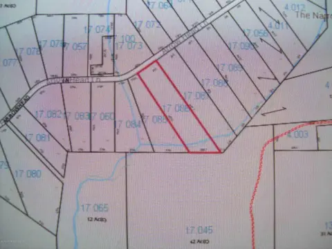 Residential Land in Jasper, Alabama