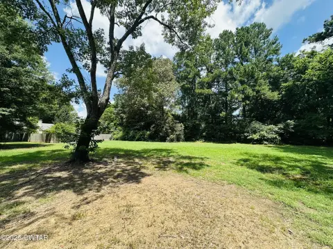 Residential Lot in Vivian Village