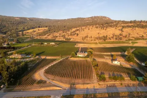 Vineyard Estate with Lake Views