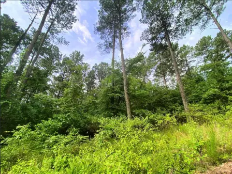 Eagle Mountain Vacant Land