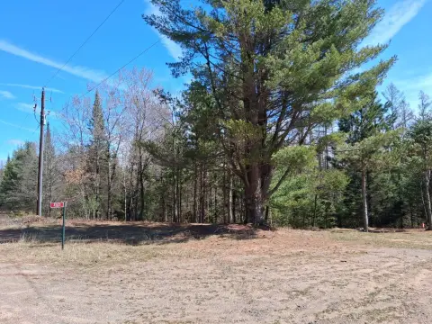 Rhinelander Vacant Land Near Forest