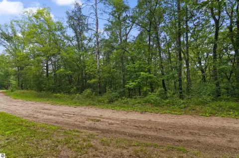 Vacant Land Near Manistee Forest