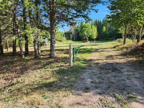 Wooded Recreational Land