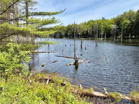 Land in Otsego County