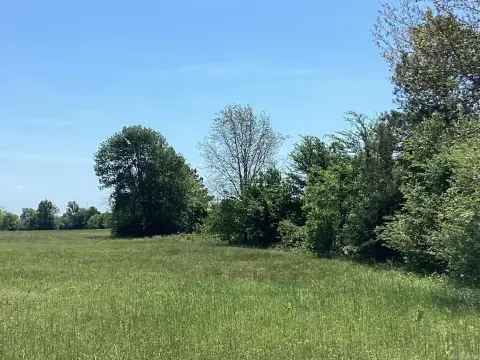 20 Acres of Hay Meadow