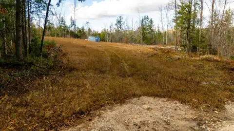 35+ Acres of Serene Land