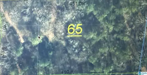 Wooded Residential Development Lot