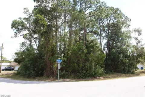Residential Lot in San Carlos