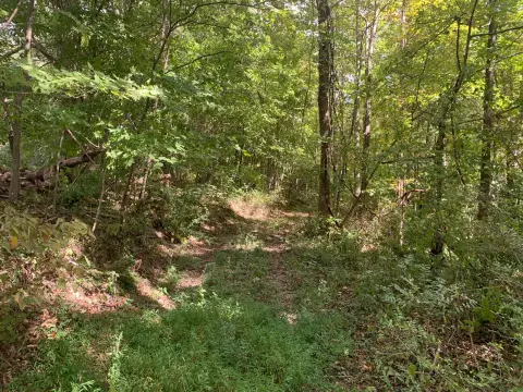 8.44 Acres Vacant Land