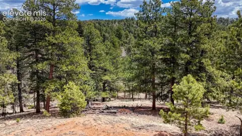 Mountain View Home Lot