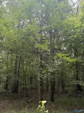 Recreation Land with Barn Shelter Pad