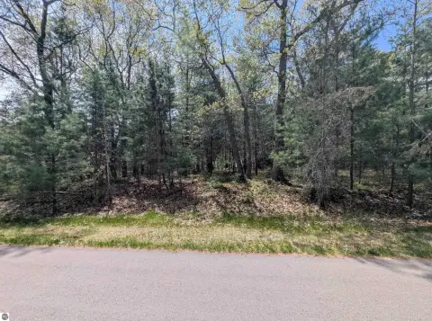 Wooded Lot at Huron Breeze