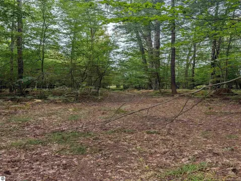 Wooded Hunting Land