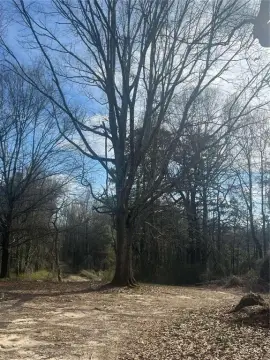 65 Acres of Wooded Land