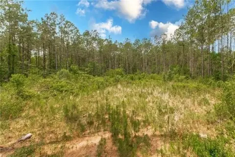 7 Acre Lot in Abita Springs