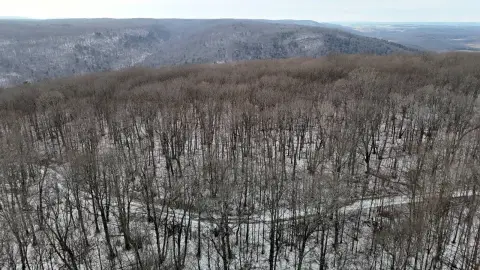 Recreational Land in Tioga County