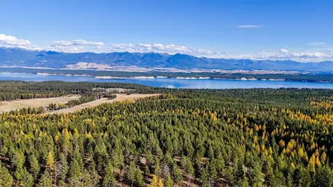 Montana Land Bordering National Forest