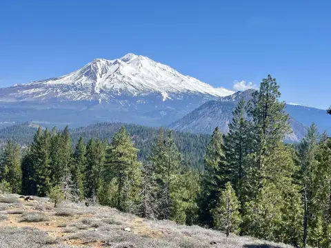 64 Acres with Mountain Views