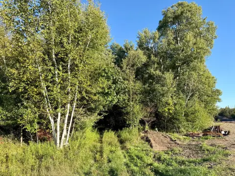 Wildlife Hunting Land