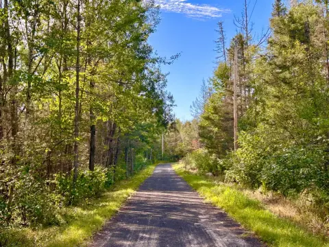 Wooded Recreation Land