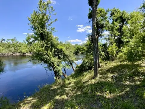Land on Suwannee River