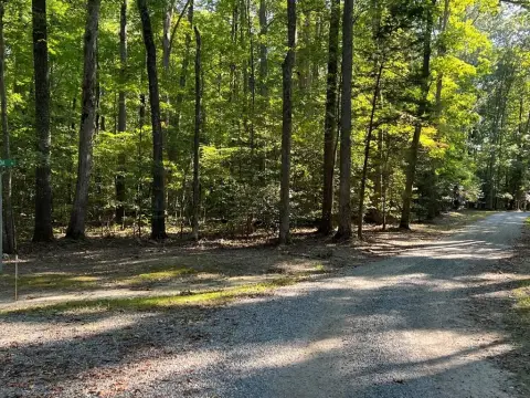 Wooded Land with Water Access