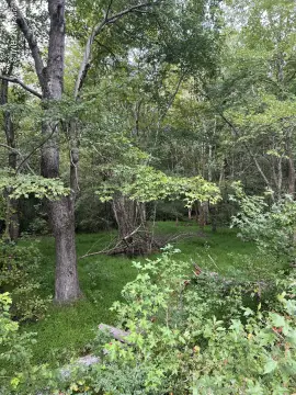 Residential Land in Bailey, NC