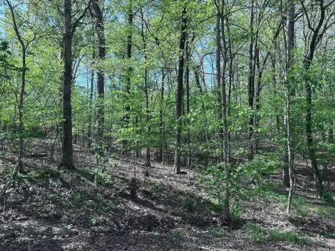 Lake View Residential Lot