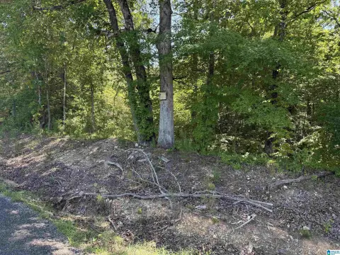 Wooded Recreational Land Parcel