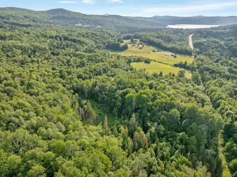 Rural Farmland and Wooded Acreage